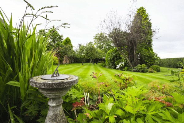 Service Areas 2 Maintain and nurture your garden so it always looks beautiful with Bedford Gardener's garden maintenance services.