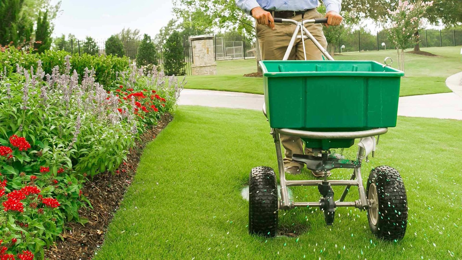 Lawn Care & Lawn Treatments In Bedford | Bedford Gardener