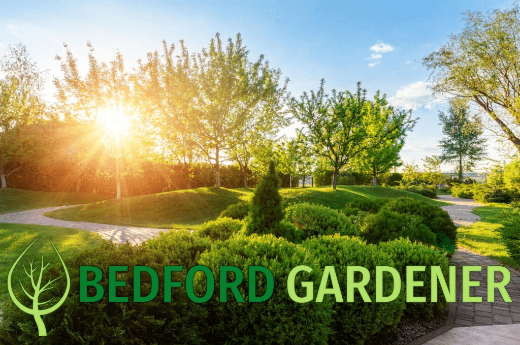 Home 2 Bedford Gardener full gardening and garden maintenance services in Bedford. Our experienced gardeners will get the best out of your garden so it always looks at it's best.